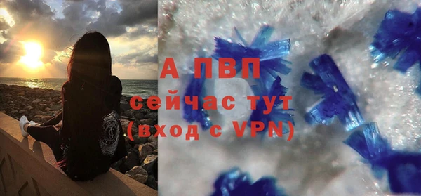 прущая мука Богданович